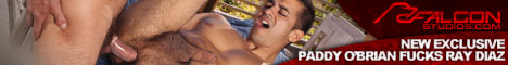 Click here for Falcon Studios website