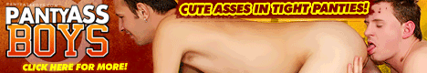 Click here for Panty Ass Boys website